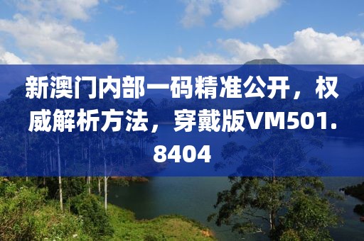 新澳门内部一码精准公开，权威解析方法，穿戴版VM501.8404