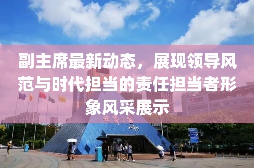 副主席最新动态，展现领导风范与时代担当的责任担当者形象风采展示
