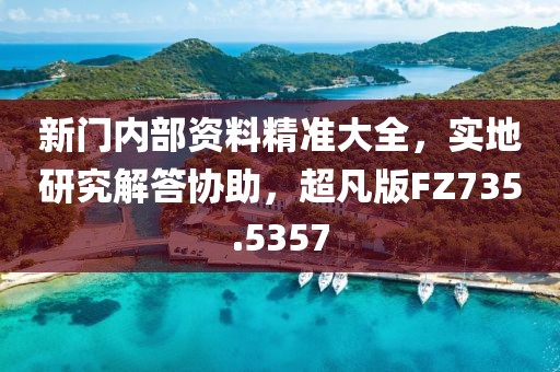 新门内部资料精准大全，实地研究解答协助，超凡版FZ735.5357