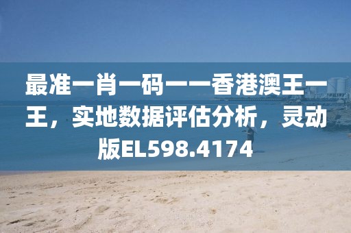 最准一肖一码一一香港澳王一王，实地数据评估分析，灵动版EL598.4174