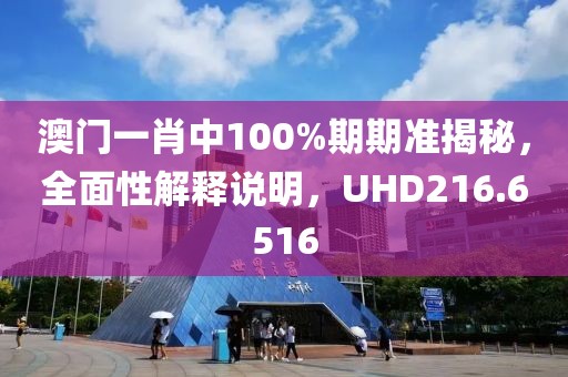 澳门一肖中100%期期准揭秘，全面性解释说明，UHD216.6516