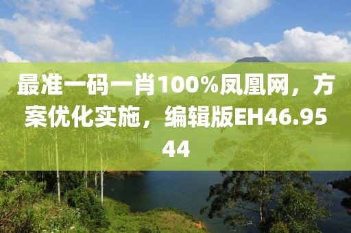 最准一码一肖100%凤凰网，方案优化实施，编辑版EH46.9544