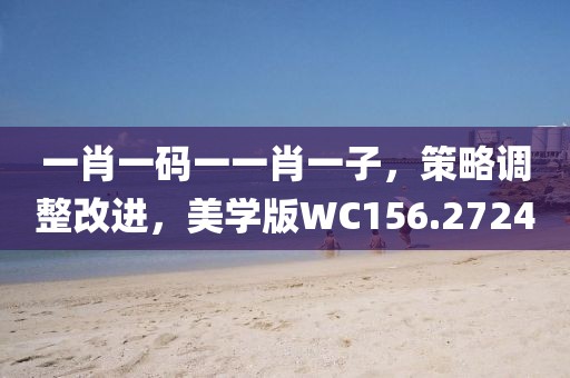 一肖一码一一肖一子，策略调整改进，美学版WC156.2724