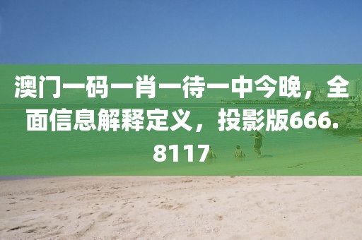 澳门一码一肖一待一中今晚，全面信息解释定义，投影版666.8117