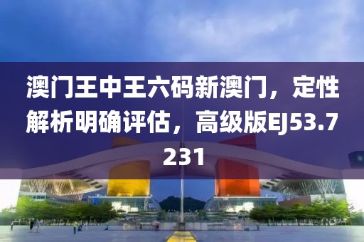 澳门王中王六码新澳门，定性解析明确评估，高级版EJ53.7231