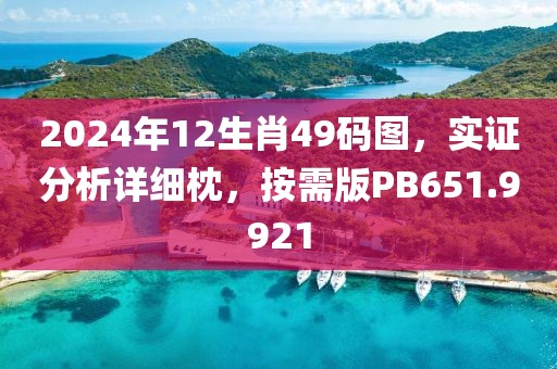 2024年12生肖49码图，实证分析详细枕，按需版PB651.9921