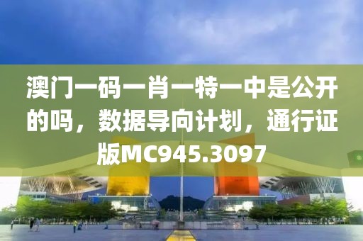 澳门一码一肖一特一中是公开的吗，数据导向计划，通行证版MC945.3097