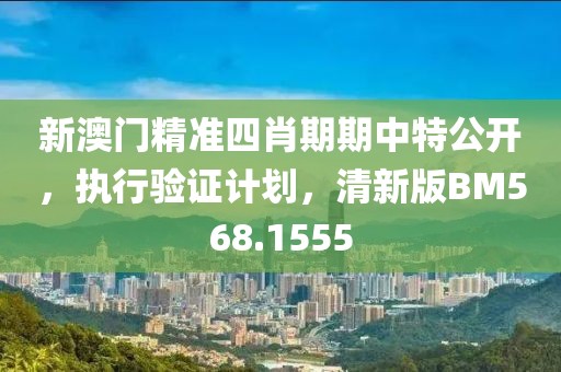 新澳门精准四肖期期中特公开，执行验证计划，清新版BM568.1555
