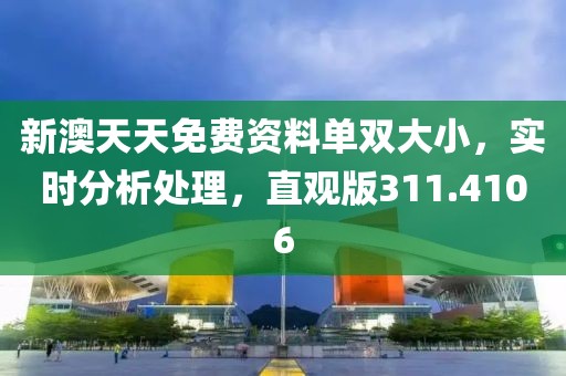 新澳天天免费资料单双大小，实时分析处理，直观版311.4106