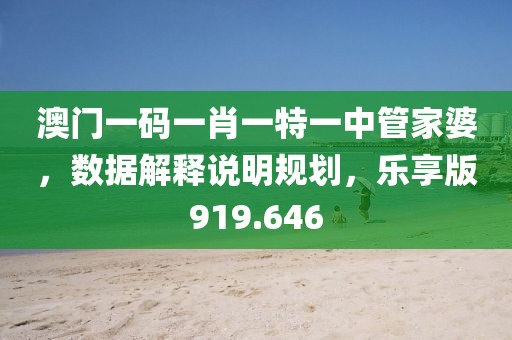 澳门一码一肖一特一中管家婆，数据解释说明规划，乐享版919.646