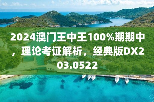 2024澳门王中王100%期期中，理论考证解析，经典版DX203.0522