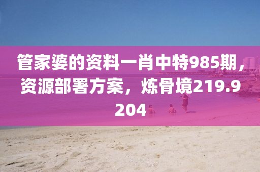 管家婆的资料一肖中特985期，资源部署方案，炼骨境219.9204
