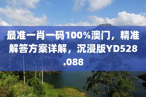 最准一肖一码100%澳门，精准解答方案详解，沉浸版YD528.088