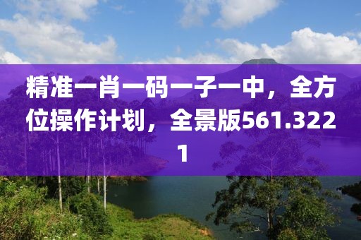 精准一肖一码一子一中，全方位操作计划，全景版561.3221