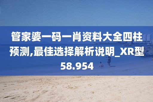 管家婆一码一肖资料大全四柱预测,最佳选择解析说明_XR型58.954