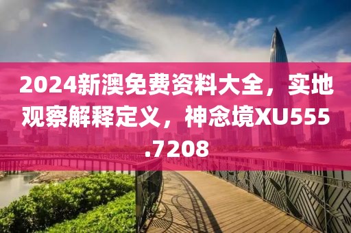 2024新澳免费资料大全，实地观察解释定义，神念境XU555.7208