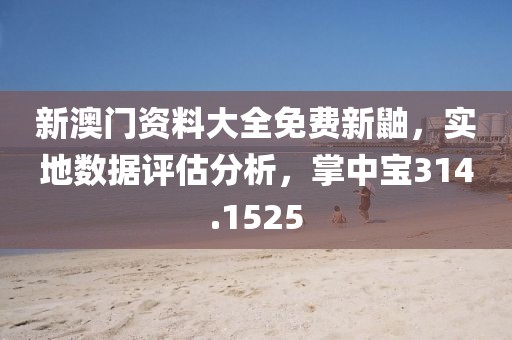 新澳门资料大全免费新鼬，实地数据评估分析，掌中宝314.1525