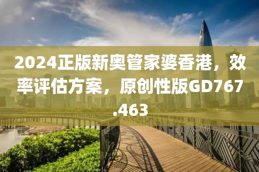 2024正版新奥管家婆香港，效率评估方案，原创性版GD767.463