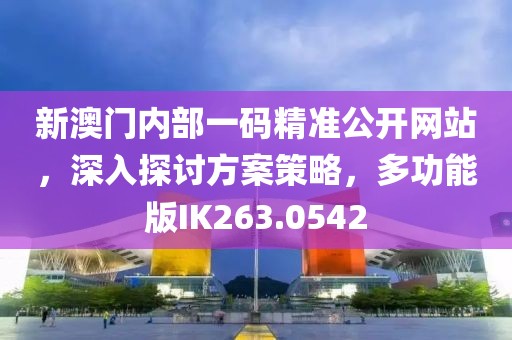 新澳门内部一码精准公开网站，深入探讨方案策略，多功能版IK263.0542