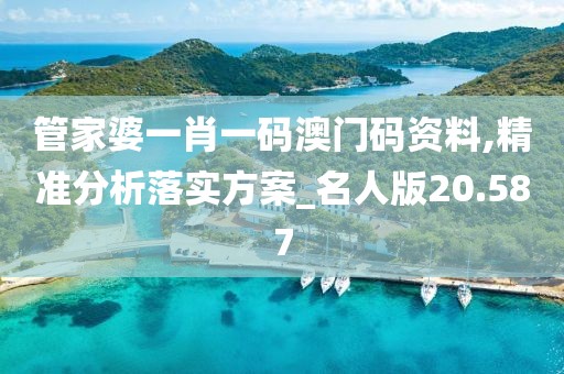 管家婆一肖一码澳门码资料,精准分析落实方案_名人版20.587