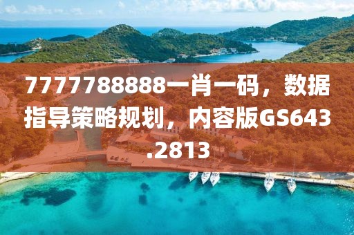 7777788888一肖一码，数据指导策略规划，内容版GS643.2813