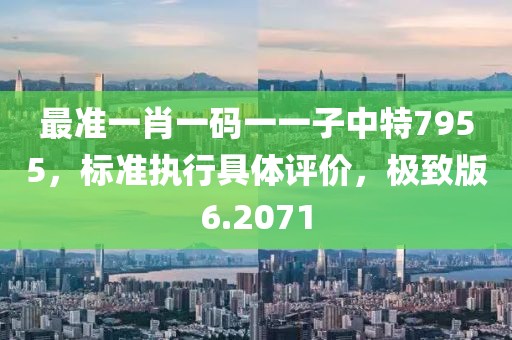 最准一肖一码一一子中特7955，标准执行具体评价，极致版6.2071