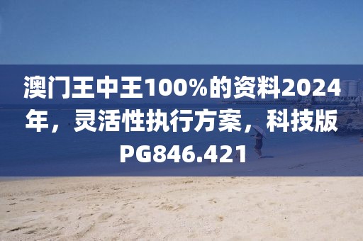 澳门王中王100%的资料2024年，灵活性执行方案，科技版PG846.421