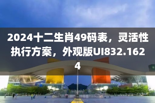2024十二生肖49码表，灵活性执行方案，外观版UI832.1624