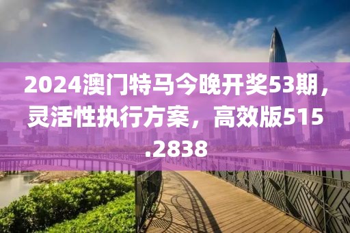 2024澳门特马今晚开奖53期，灵活性执行方案，高效版515.2838