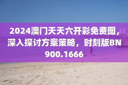 2024澳门天天六开彩免费图，深入探讨方案策略，时刻版BN900.1666