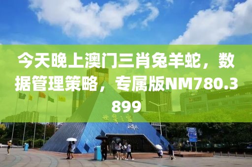 今天晚上澳门三肖兔羊蛇，数据管理策略，专属版NM780.3899