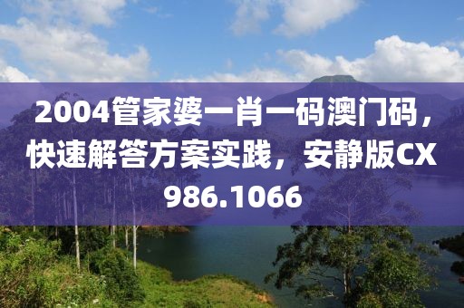 2004管家婆一肖一码澳门码，快速解答方案实践，安静版CX986.1066