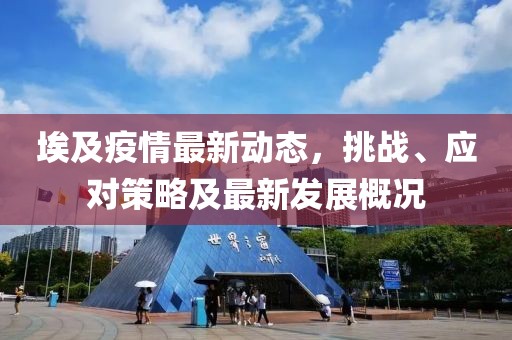 埃及疫情最新动态，挑战、应对策略及最新发展概况