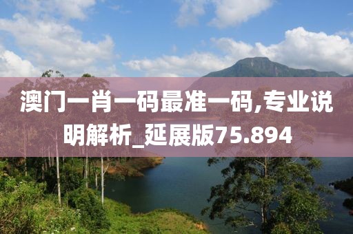 澳门一肖一码最准一码,专业说明解析_延展版75.894