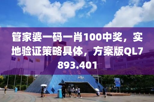 管家婆一码一肖100中奖，实地验证策略具体，方案版QL7893.401