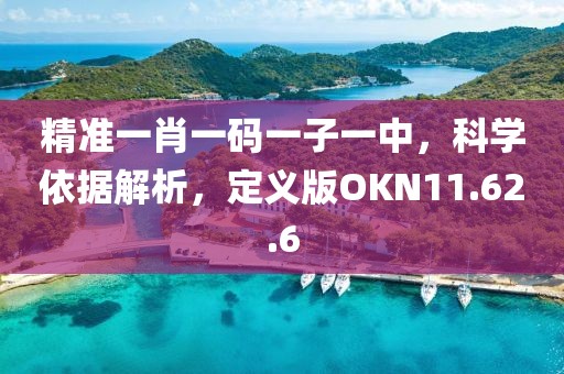 精准一肖一码一子一中，科学依据解析，定义版OKN11.62.6