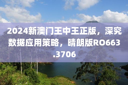2024新澳门王中王正版，深究数据应用策略，晴朗版RO663.3706