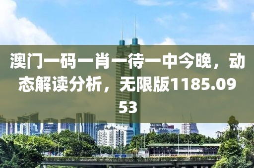 澳门一码一肖一待一中今晚，动态解读分析，无限版1185.0953