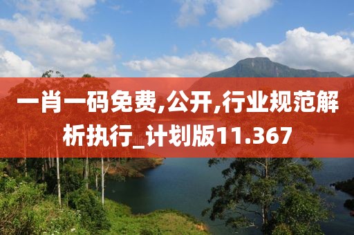 一肖一码免费,公开,行业规范解析执行_计划版11.367