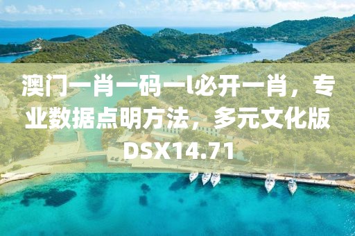 澳门一肖一码一l必开一肖，专业数据点明方法，多元文化版DSX14.71
