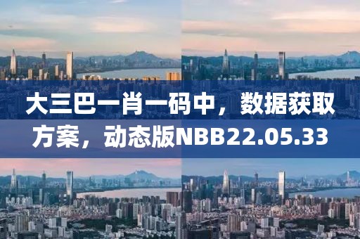 大三巴一肖一码中，数据获取方案，动态版NBB22.05.33