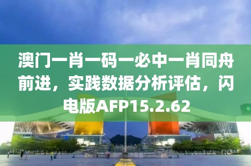 澳门一肖一码一必中一肖同舟前进，实践数据分析评估，闪电版AFP15.2.62