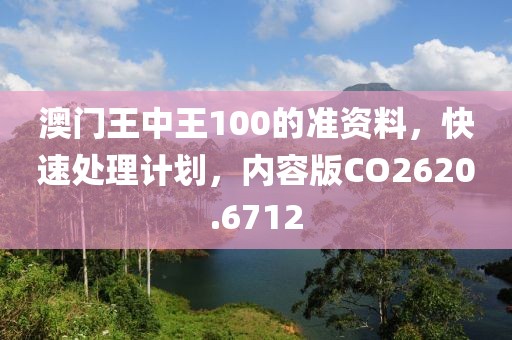 澳门王中王100的准资料，快速处理计划，内容版CO2620.6712