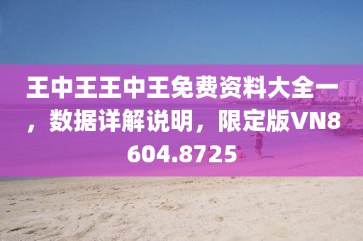 王中王王中王免费资料大全一，数据详解说明，限定版VN8604.8725