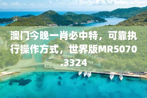 澳门今晚一肖必中特，可靠执行操作方式，世界版MR5070.3324