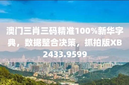 澳门三肖三码精准100%新华字典，数据整合决策，抓拍版XB2433.9599
