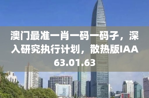 澳门最准一肖一码一码孑，深入研究执行计划，散热版IAA63.01.63