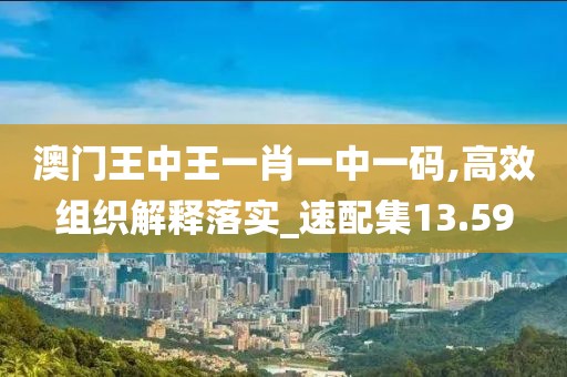 澳门王中王一肖一中一码,高效组织解释落实_速配集13.59