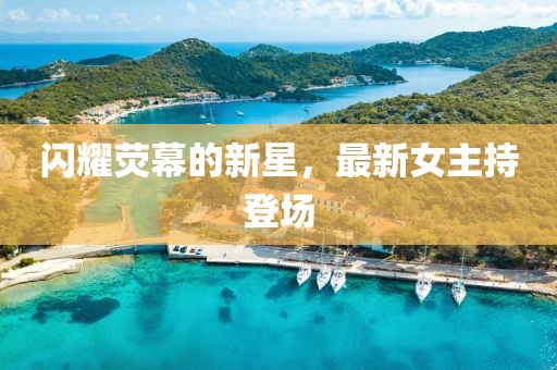 闪耀荧幕的新星，最新女主持登场