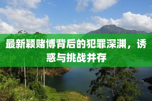 最新颖赌博背后的犯罪深渊，诱惑与挑战并存